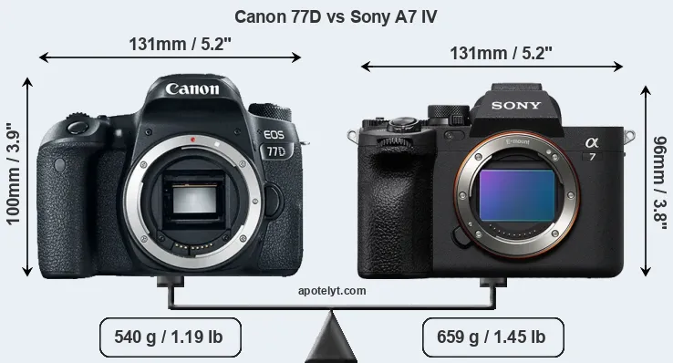 Size Canon 77D vs Sony A7 IV
