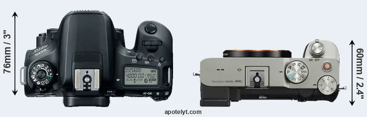 Compare 77D versus A7C top