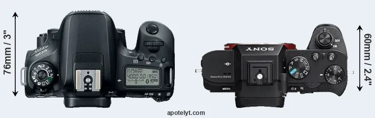 Compare 77D versus A7R II top
