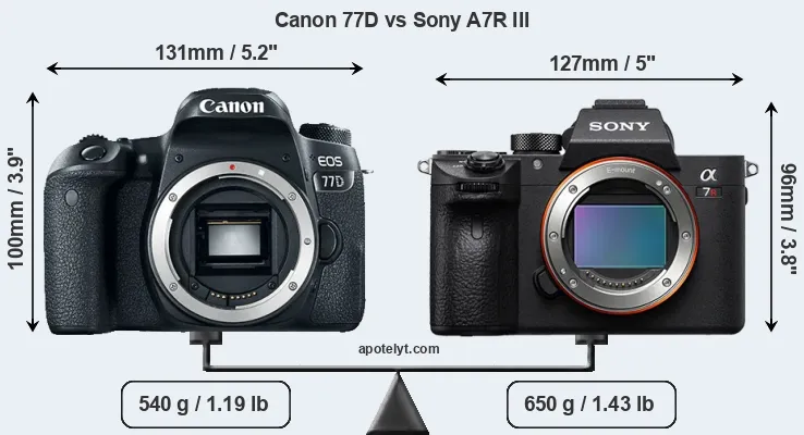 Size Canon 77D vs Sony A7R III