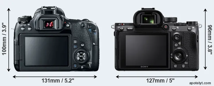 Comparison 77D or A7R III rear
