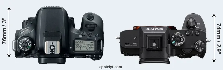 Compare 77D versus A7R III top