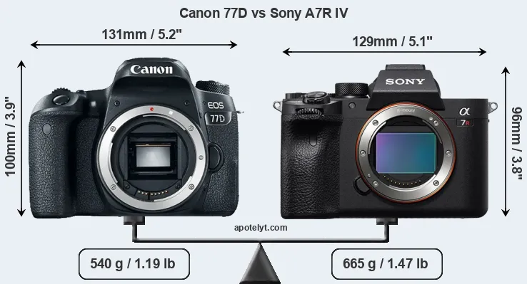 Size Canon 77D vs Sony A7R IV