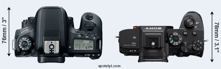 Compare 77D versus A7R IV top
