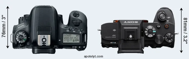 Compare 77D versus A7S III top