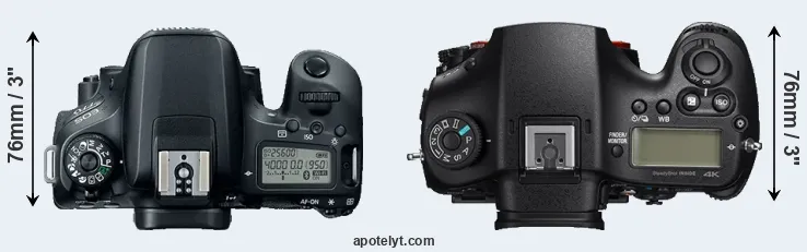 Compare 77D versus A99 II top
