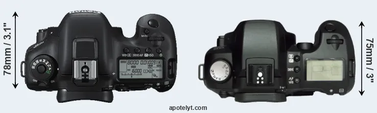 Compare 7D Mark II versus D60 top