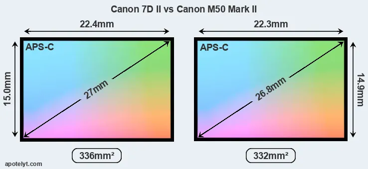 Canon 7D II and Canon M50 Mark II sensor measures