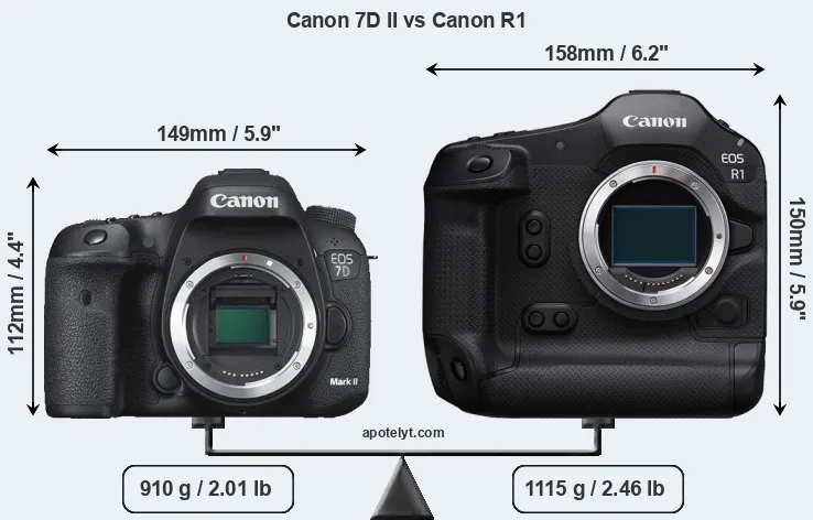 Size Canon 7D II vs Canon R1