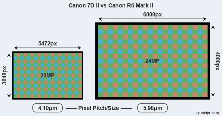 7D Mark II versus R6 Mark II MP