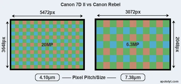 7D Mark II versus Rebel MP