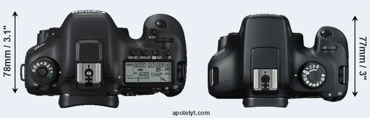 Compare 7D Mark II versus T100 top