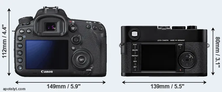 Comparison 7D Mark II or M8 rear