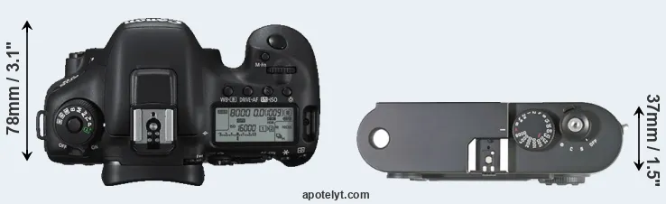 Compare 7D Mark II versus M8 top