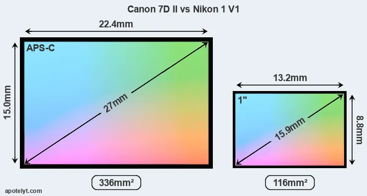 Canon 7D II and Nikon 1 V1 sensor measures