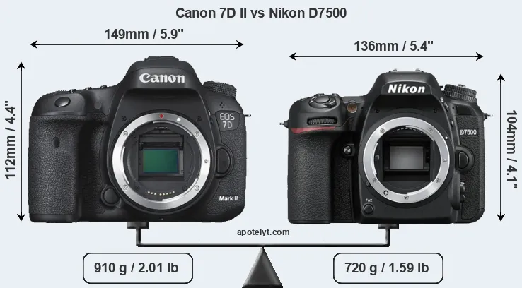 Size Canon 7D II vs Nikon D7500