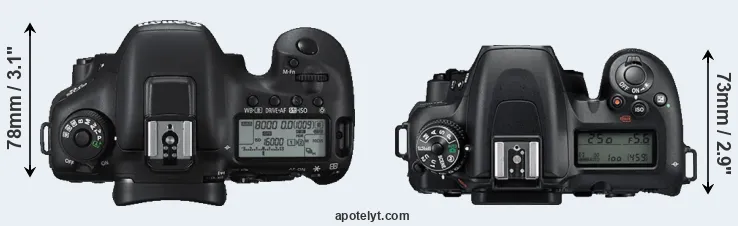 Compare 7D Mark II versus D7500 top