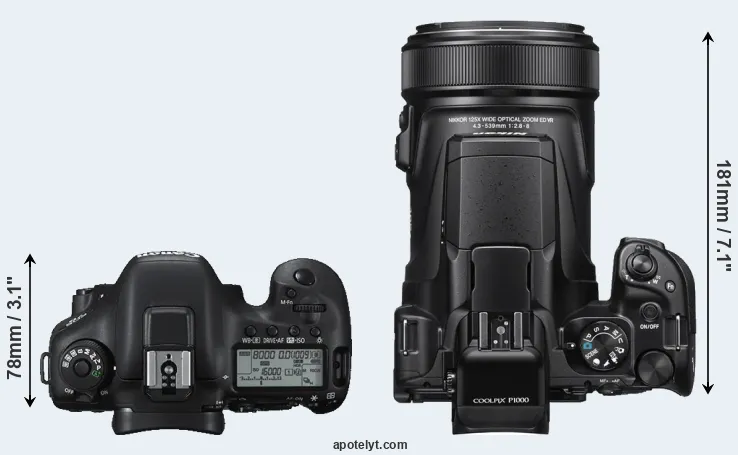 Compare 7D Mark II versus P1000 top