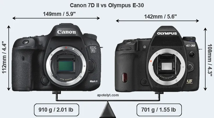 Size Canon 7D II vs Olympus E-30