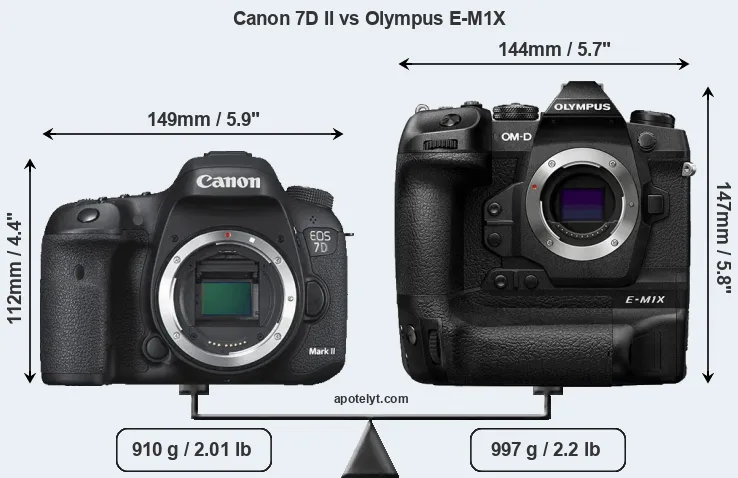 Size Canon 7D II vs Olympus E-M1X