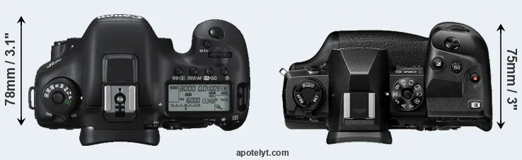 Compare 7D Mark II versus E-M1X top