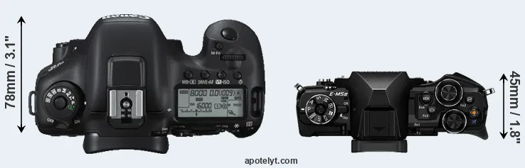 Compare 7D Mark II versus E-M5 II top