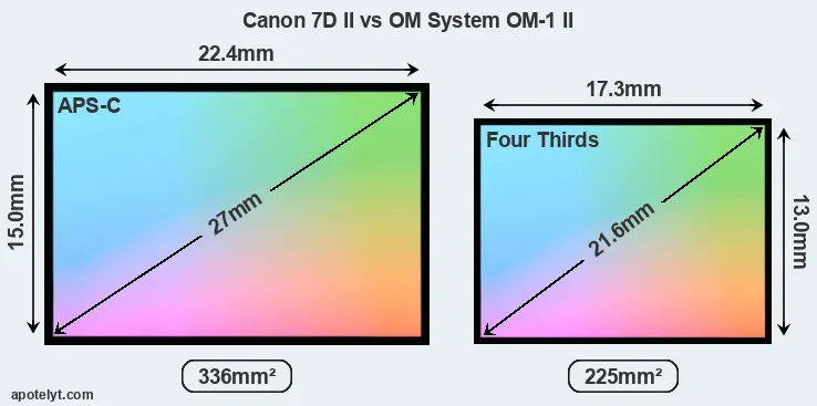 Canon 7D II and OM System OM-1 II sensor measures