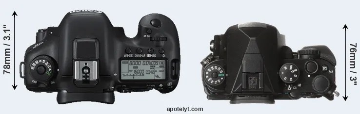 Compare 7D Mark II versus KP top