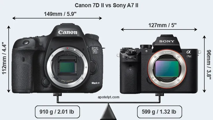 Size Canon 7D II vs Sony A7 II
