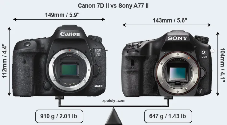Size Canon 7D II vs Sony A77 II