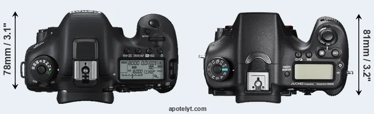 Compare 7D Mark II versus A77 II top