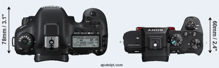 Compare 7D Mark II versus A7R II top