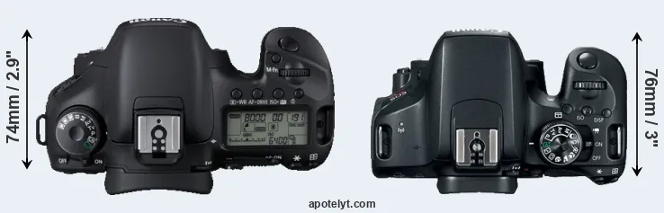 Compare 7D versus 800D top