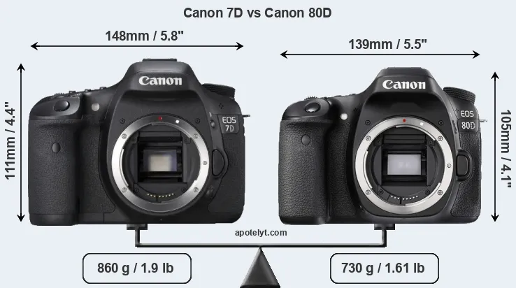 Size Canon 7D vs Canon 80D