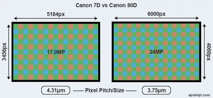 7D versus 80D MP