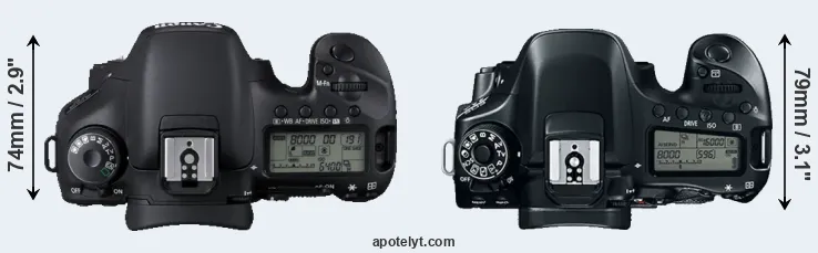 Compare 7D versus 80D top