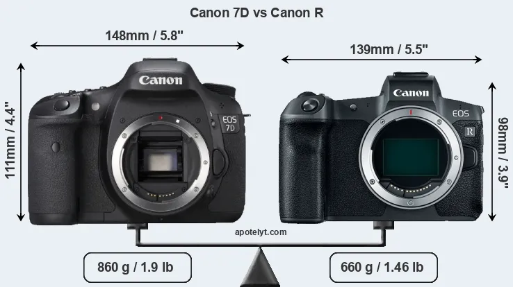 Size Canon 7D vs Canon R