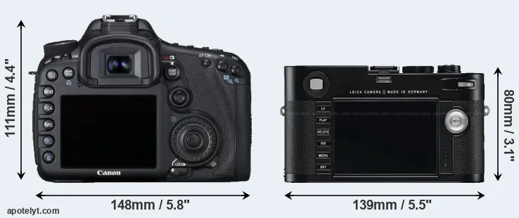 Comparison 7D or M Typ 240 rear