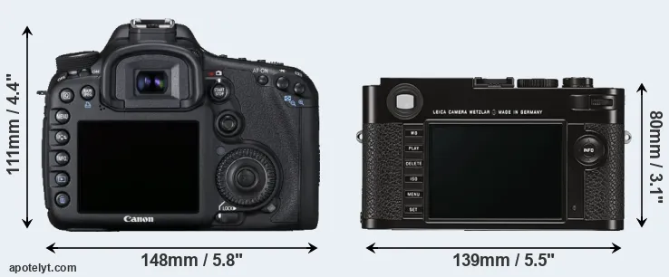 Comparison 7D or M Typ 262 rear