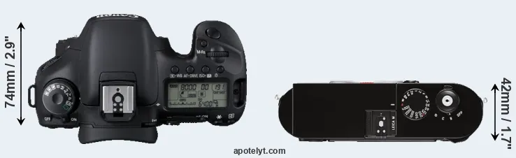 Compare 7D versus M Typ 262 top