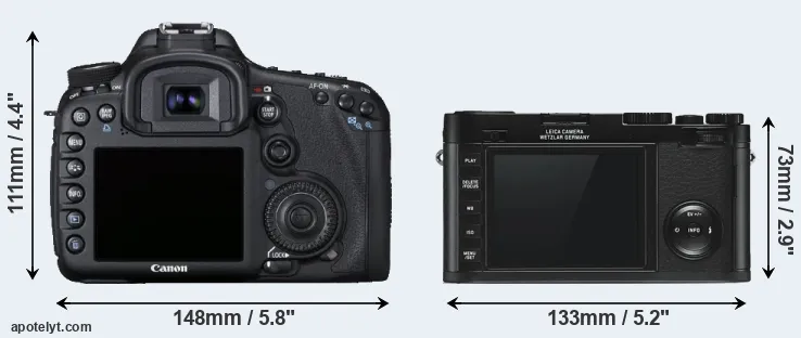 Comparison 7D or X Typ 113 rear