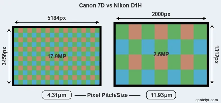 7D versus D1H MP