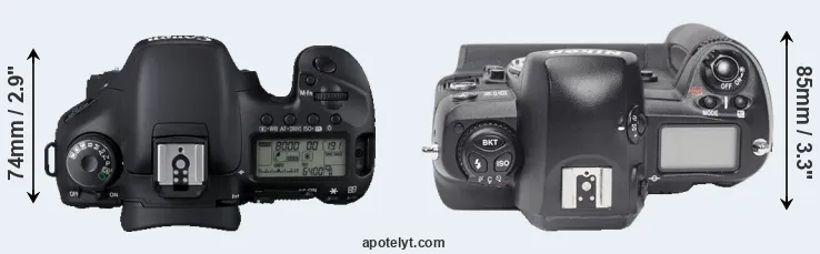 Compare 7D versus D1X top