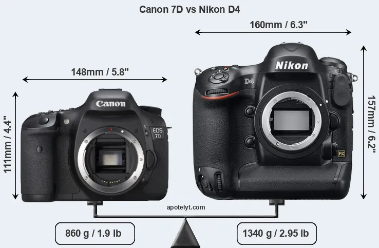 Size Canon 7D vs Nikon D4