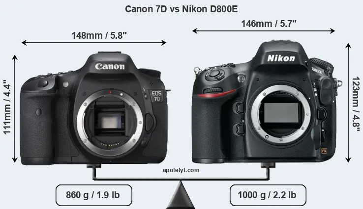 Size Canon 7D vs Nikon D800E