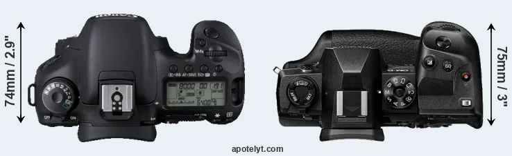 Compare 7D versus E-M1X top