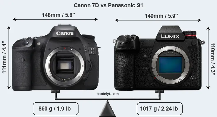 Size Canon 7D vs Panasonic S1