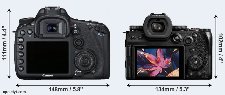 Comparison 7D or S5 II rear