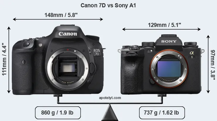Size Canon 7D vs Sony A1