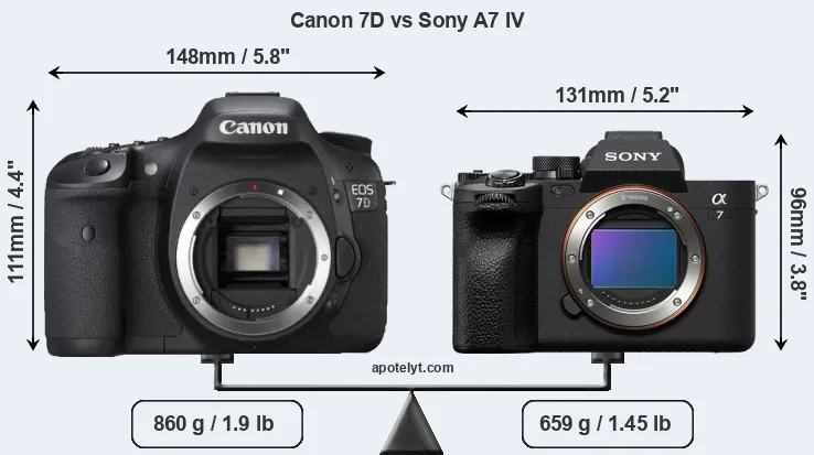 Size Canon 7D vs Sony A7 IV
